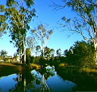 Dingo Creek Park - New South Wales Tourism 