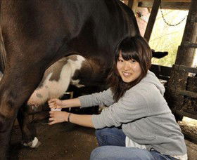 Warrook Farm - New South Wales Tourism  2