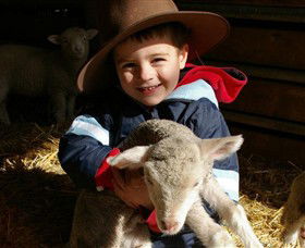 Warrook Farm - New South Wales Tourism  1