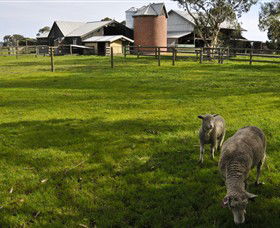 Warrook Farm - New South Wales Tourism  4