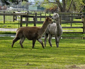 Warrook Farm - New South Wales Tourism  6