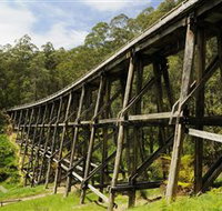 Noojee Trestle Bridge - New South Wales Tourism 