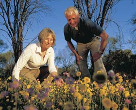 Canna Reserve - New South Wales Tourism  0