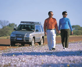 Canna Reserve - New South Wales Tourism  1