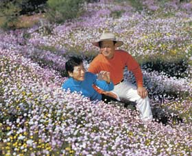 Canna Reserve - New South Wales Tourism  3