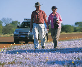 Canna Reserve - New South Wales Tourism  2