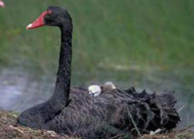 New South Wales Tourism