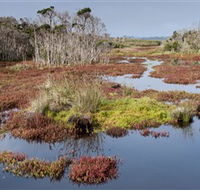 French Island National Park - New South Wales Tourism 
