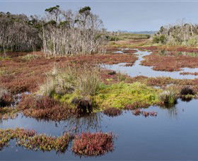 French Island National Park - New South Wales Tourism  0