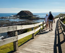 Phillip Island Nature Parks - New South Wales Tourism  3