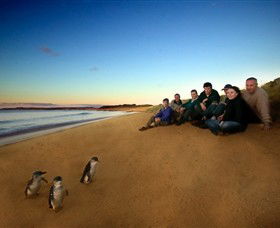 Phillip Island Nature Parks - New South Wales Tourism  7