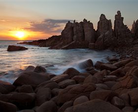 Phillip Island Nature Parks - New South Wales Tourism  6