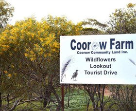 Coorow Farm Wildflower Trail - New South Wales Tourism  0