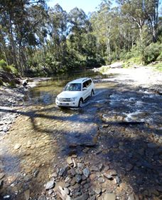 Aberfeldy Four Wheel Drive Track - New South Wales Tourism  1