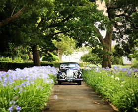 Queens Park, Toowoomba - New South Wales Tourism  3