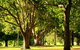 Queens Park, Toowoomba - thumb 1
