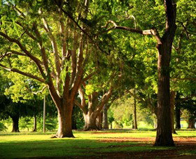 Queens Park, Toowoomba - New South Wales Tourism  1