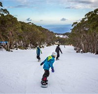 Mt Baw Baw Alpine Resort - New South Wales Tourism 
