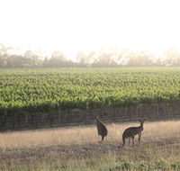 Small Forest Wine - New South Wales Tourism 