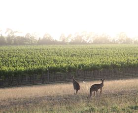 Small Forest Wine - New South Wales Tourism  0