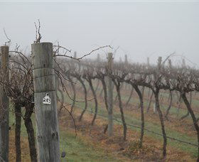 Small Forest Wine - New South Wales Tourism  1