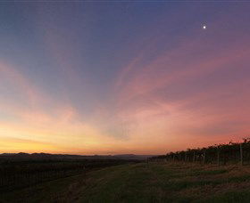 Small Forest Wine - New South Wales Tourism  2