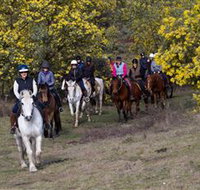 Burnelee Excursions on Horseback - New South Wales Tourism 