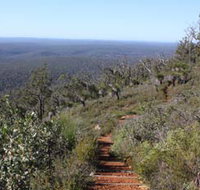 Mount Dale Walk Trail - New South Wales Tourism 