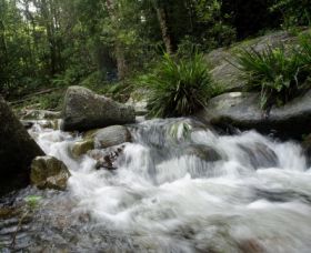 Washpool National Park - New South Wales Tourism  0