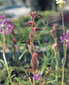  New South Wales Tourism 