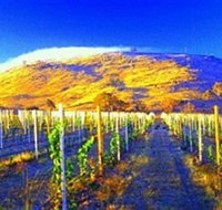 Surveyors Hill Winery - New South Wales Tourism 