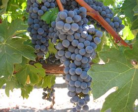 Joshuas Fault Wine - New South Wales Tourism  0