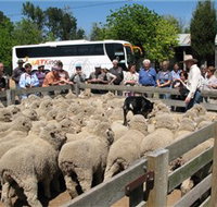 Gold Creek Station - New South Wales Tourism 