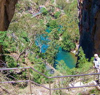 Carlotta Arch walking track - New South Wales Tourism 