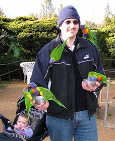 Canberra Walk In Aviary - New South Wales Tourism  0
