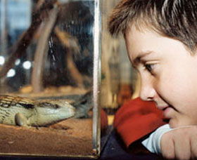 Canberra Reptile Zoo - New South Wales Tourism  0