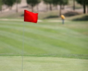 Gold Creek Country Club - New South Wales Tourism  0