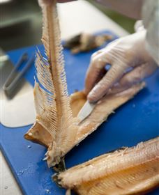 Arc-en-Ciel Trout Farm - New South Wales Tourism  2