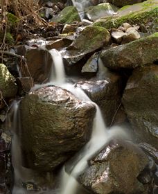 Arc-en-Ciel Trout Farm - New South Wales Tourism  1