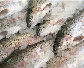 Arc-en-Ciel Trout Farm - New South Wales Tourism  3