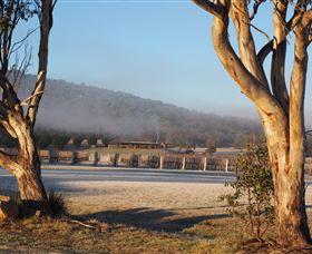 Savina Lane Premum Wines - New South Wales Tourism  0