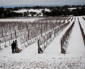 Savina Lane Premum Wines - New South Wales Tourism  2