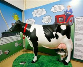 Hunter Belle Cheese - New South Wales Tourism  3