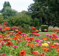Alma Park - New South Wales Tourism 
