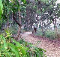 Mount Mutton Walking Trail - New South Wales Tourism 