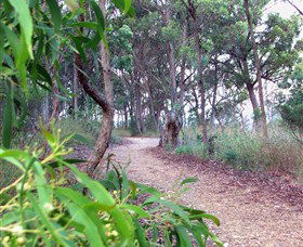 Mount Mutton Walking Trail - New South Wales Tourism  0