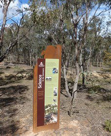 Mulligans Flat - New South Wales Tourism  1