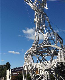 Australian Institute Of Sport (AIS) - New South Wales Tourism  0