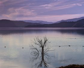 Inland Waters Holiday Parks Lake Glenbawn - New South Wales Tourism  0