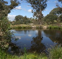 Cooleman Ridge - New South Wales Tourism 